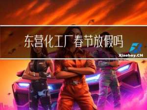 东营化工厂春节放假吗