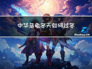 中华乌龟冬天如何过冬