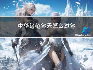 中华乌龟冬天怎么过冬