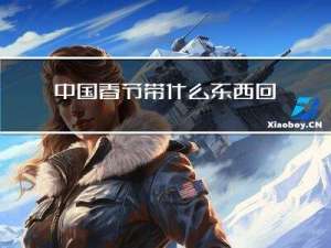 中国春节带什么东西回家