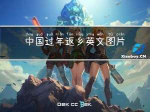 中国过年返乡英文图片介绍