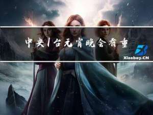 中央1台元宵晚会有重播吗