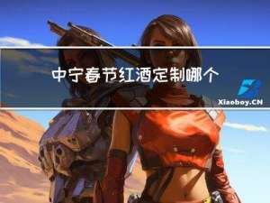 中宁春节红酒定制哪个好