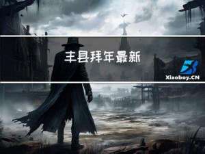 丰县拜年最新