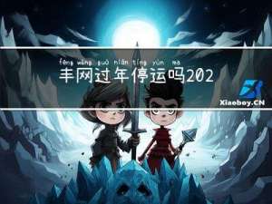 丰网过年停运吗2022