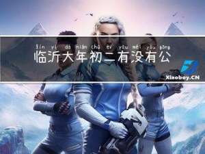 临沂大年初二有没有公交