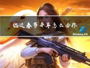 临近春节开车怎么办作文