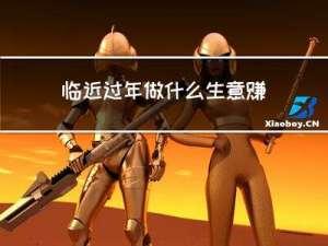 临近过年做什么生意赚钱