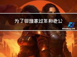 为了回谁家过年和老公吵架