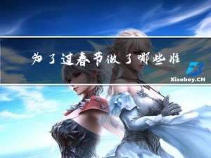 为了过春节做了哪些准备