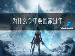 为什么今年要回家过年呢