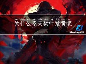 为什么冬天树叶发黄呢