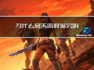 为什么冬天流浪猫会叫