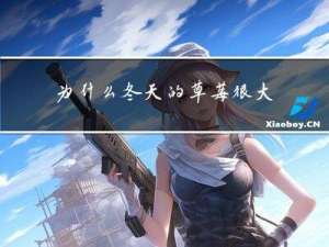 为什么冬天的草莓很大