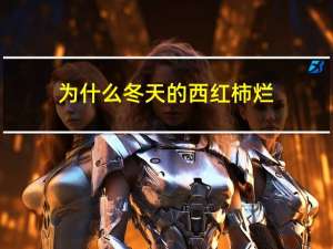 为什么冬天的西红柿烂