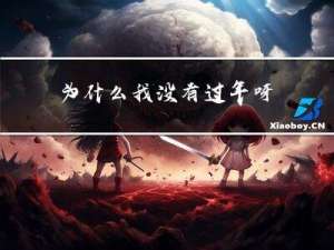 为什么我没有过年呀