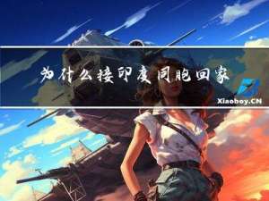 为什么接印度同胞回家过年