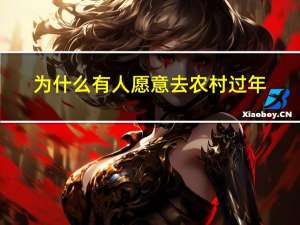 为什么有人愿意去农村过年