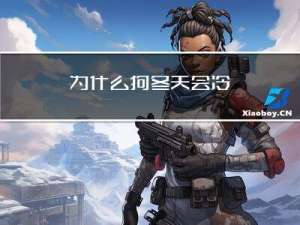 为什么狗冬天会冷