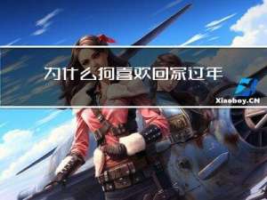 为什么狗喜欢回家过年