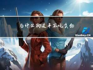 为什么狗过年不吃食物