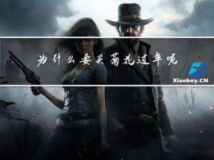 为什么要买菊花过年呢