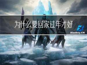 为什么要回家过年才好