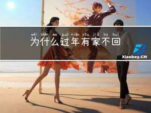 为什么过年有家不回