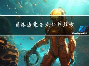 丽格海棠冬天的养殖方法和注意事项