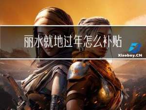 丽水就地过年怎么补贴的