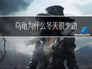 乌龟为什么冬天很少动