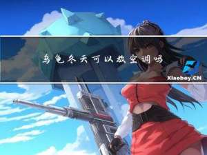 乌龟冬天可以放空调吗