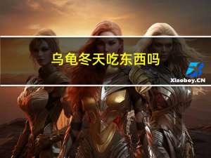 乌龟冬天吃东西吗
