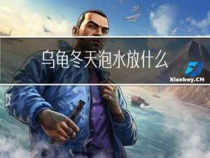 乌龟冬天泡水放什么
