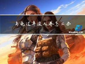 乌龟过年没人养怎么办