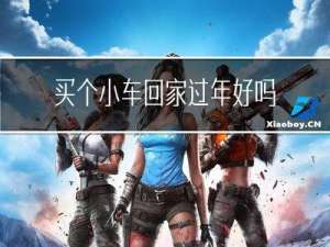 买个小车回家过年好吗吗