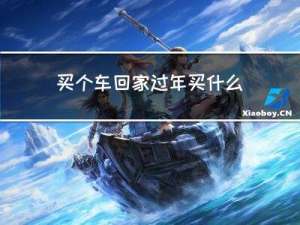 买个车回家过年买什么车