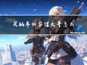 买辆车回家过大年怎么过
