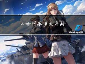 二哈柯基多大年龄