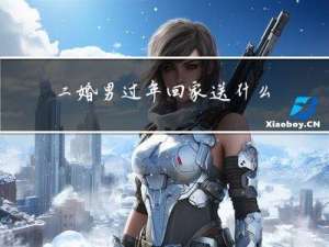 二婚男过年回家送什么