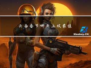 云南春节哪天上坟最佳