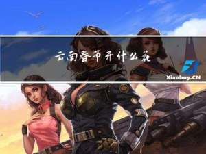 云南春节开什么花