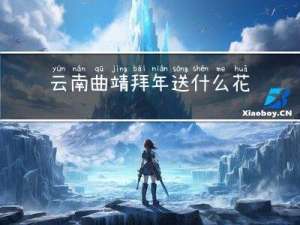 云南曲靖拜年送什么花