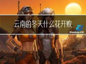 云南的冬天什么花开败