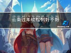 云南过年砍松树好不好