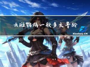 云斑鹦鹉一般多大年龄