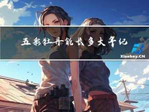 五彩牡丹能长多大年纪