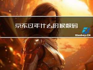 京东过年什么时候数码打折