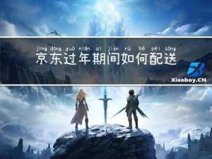 京东过年期间如何配送到家