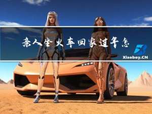 亲人坐火车回家过年怎么坐